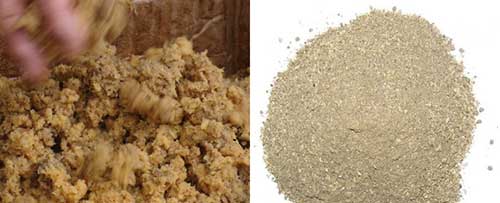raw biomass and dried biomass